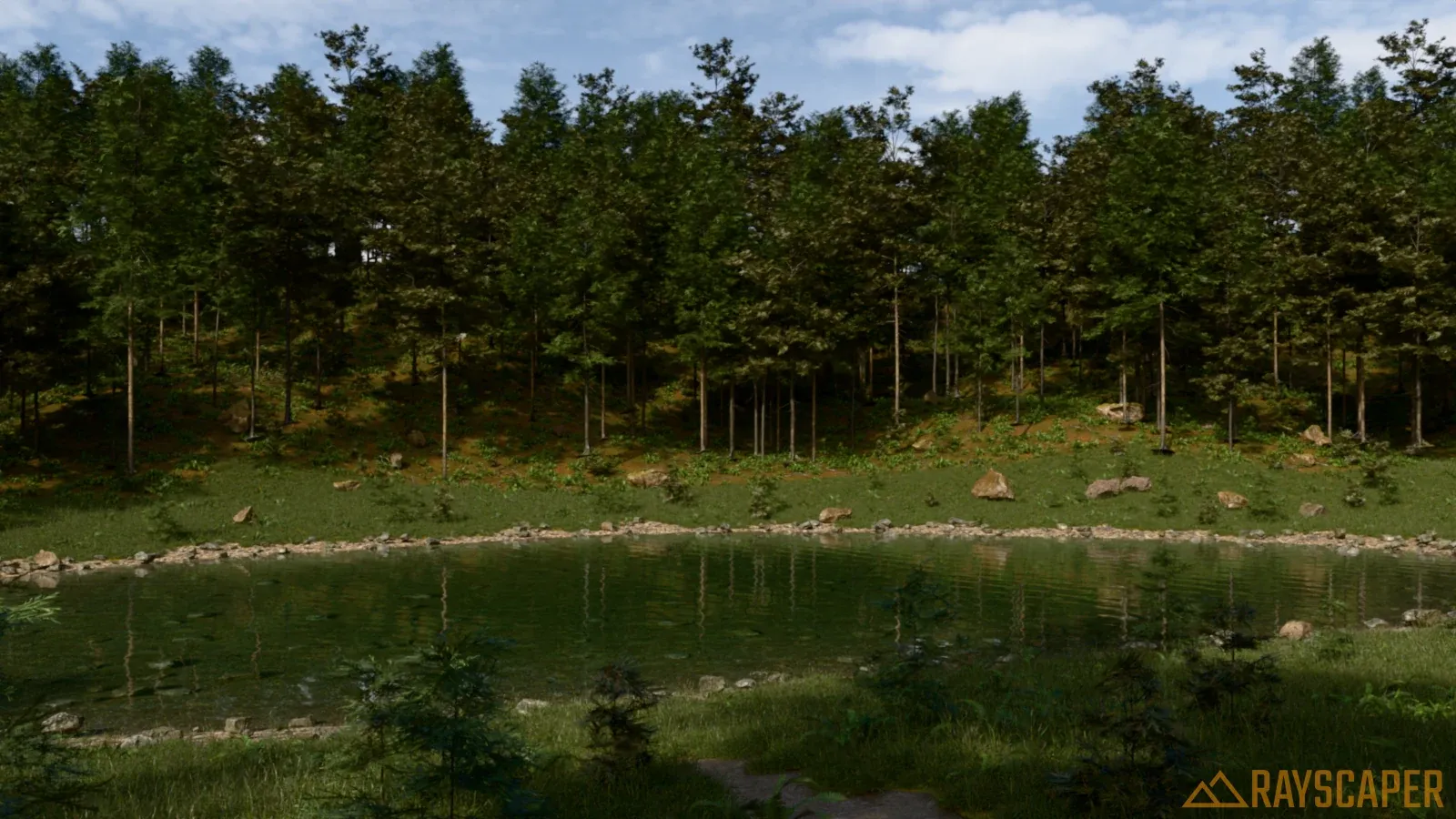 A pond in a forest clearing: pines and firs on a hill, ferns, boulders, grass and saplings around the water, pebbles on the shore